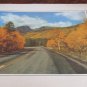Vintage Postcard Print: Mt. Hallett from Bear Lake Road
