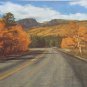 Vintage Postcard Print: Mt. Hallett from Bear Lake Road