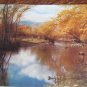 Vintage Colorado Art Print: Mt. Princeton & Cottonwood Creek