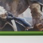 Assassin's Creed IV: Black Flag (Xbox 360) - Pre-Owned