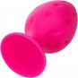 Cheeky Butt Plug Duo Pink