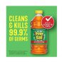 Pine Sol ORIGINAL Formula PINE OIL Glycolic Acid Multi Surface Cleaner 40 oz, 2X