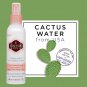 Hask Cactus Water 5 in 1 Leave-in Spray Prickly Pear Seed Oil Hair 6 OZ 2 Pack
