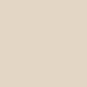 Krylon Fusion Spray Paint for Plastic 2437 Satin Almond 12oz
