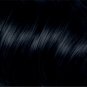 Clairol Nice 'n Easy, 2BB/124 Natural Blue Black, Permanent Hair Color, 1 Kit