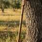 Handcrafted  Ankh Staff &acirc;�� Ancient Egyptian Pharaoh Scepter