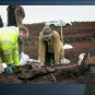 UK TV : 4000-Year-Old Cold Case: The Body in the Bog Digital Download
