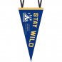 Custom Felt Triangle Pennant Flag, Personalized Wall Decor Banner for Bedroom Dorm Party