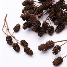 Natural alder cones for aquarium decor