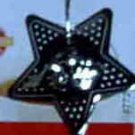 Star Tea or Herb Infuser by Farberware