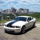 20" hood rally racing stripe decal for any Ford Mustang