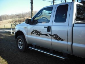 Side body scribble horse decal decals graphics horses