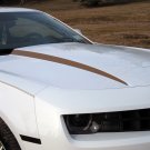 Hood Cowl decal decals stripes spears fits 2010 Camaro