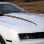 Hood Cowl decal decals stripes spears fits 2010 Camaro
