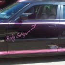 Body line stripe graphic decal decals fits 06+ Dodge Charger