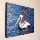 Pelican in White - Photo Close Up 16 x 20 in. Gallery Wrap Canvas Print Pelican in White - Photo Close Up 16 x 20 in. Gallery Wrap Canvas Print