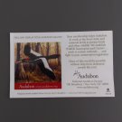National Audubon Society Woodpecker Magnet 2.5" Square