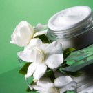 Anti-Oxidant Bliss Creme