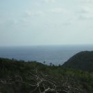 Lookout