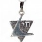 SS Contemporary Star of David