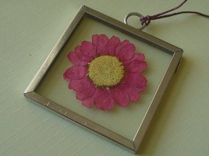 Pressed Red-Pink Daisy Picture Frame Pendant
