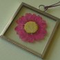 Pressed Red-Pink Daisy Picture Frame Pendant