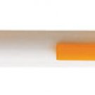 Gifts Pens (TS-7018)