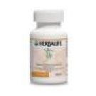 Formula 2 - Vitamin B6 in a herbal Base