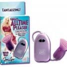 Gina Lynn's All Time Pleaser Vibrator