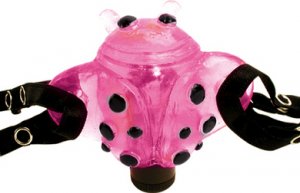 The Mini Ladybug