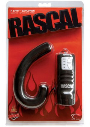 Pspot Explorer Anal Probe