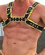 Leather Black/Yellow Harness