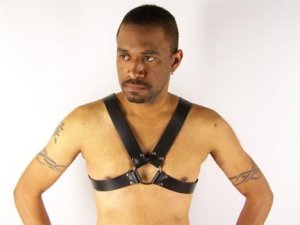 X Harness