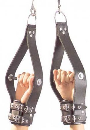 Leather Suspension Restraints