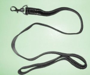 Leather Leash