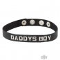 Daddys Boy Word Collar