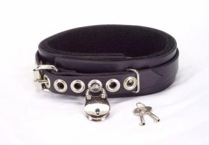 Locking Padded Collar