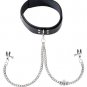 Leather Collar With Broad Tip Clamps