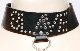 Leather Slave Collar