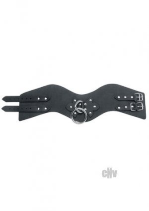 Posture Collar