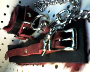 Black And Red Fur Lined Leather Cuffs With 30 Inch Lead