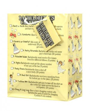 Bachelorette Checklist Gift Bag