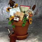 Sunflowers For You