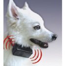 Bark Collar