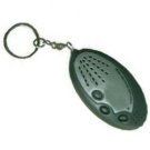 Recording Key Chain
