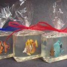 Tropical Fish