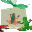Dart Frogs