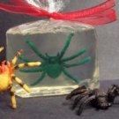 Spiders