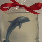 Dolphins