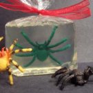 Spooky Spiders